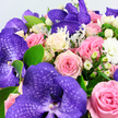 This photograph offers a richly detailed view of a deluxe bouquet that looks as if it has just arrived fresh from a Queensbury florist's studio. Dominating the eye are several opulent Vanda orchids in a deep, jewel-like purple, their petals spread wide and marked with intricate, darker veining that forms a refined, netted pattern-each bloom like a tiny work of art. Surrounding them, plush roses crowd together in gentle gradients of colour: shell-pink, soft blush, mid-toned pink, creamy ivory, and buttery pale yellow. Their petals curl inward in tight swirls, giving a sense of both softness and structure, as though you could almost feel their satin texture beneath your fingertips. Between these larger flowers, round white Hypericum berries cluster in small bunches, their smooth, waxy spheres catching the light and offering crisp contrast to the velvety petals. Scattered throughout are small, fluffy white blossoms-possibly miniature chrysanthemums or carnations-that lend a cloud-like lightness and fill out the arrangement's profile. The greenery is varied yet harmonious: bright, oval green leaves provide a fresh, leafy backdrop, while fine, silvery-green foliage reminiscent of Dusty Miller threads through the bouquet, adding a cool, feathery, almost velvety dimension. Set against a soft, white background, every colour and texture is clearly defined, creating a sense of refined elegance. The bouquet feels celebratory and romantic, perfect for a same-day delivery to a new home near Queensbury Circle, a thoughtful anniversary surprise along Mollison Way, or as an eye-catching centrepiece at a small family celebration in the local area, bringing a touch of luxury and gentle joy to everyday life.