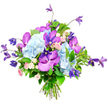 Photographed against a clean white background, this elegant bouquet appears bright and contemporary, its colours and textures clearly defined, as though freshly prepared in a Queensbury flower studio moments before delivery. At the centre sit generous clusters of pale sky-blue hydrangea, their many small petals forming softly rounded domes that bring a cloud-like fullness to the arrangement. Threaded through and around these blue blooms are vivid orchids in rich fuchsia and deep purple tones, likely Vanda or Phalaenopsis, their broad petals patterned with fine speckles and veins that add depth and a sense of luxury. Rising above and trailing gently from the edges, slender stems of purple clematis introduce height and a touch of wildness, some blossoms opening into starry forms while others hang more bell-like, echoing the relaxed elegance of cottage gardens tucked off Church Lane. Between these statement flowers, dainty spray roses in blush pink and creamy white appear in small clusters, lending a soft, romantic counterpoint and suggesting a light, sweet scent. Surrounding the blooms, a generous collar of lush green foliage with glossy leaves and lighter, more delicate greenery fills out the bouquet, creating a rich backdrop that intensifies the cooler hues. The stems at the base are neatly gathered, clearly hand-tied with professional precision, ready for a favourite vase on a dining table, office reception, or bedside. The overall impression is one of refined celebration and calm beauty, a versatile mixed-colour bouquet that would suit birthdays, anniversaries, or thoughtful get-well wishes sent across Queensbury and nearby neighbourhoods.