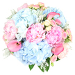 The photograph captures a dreamy pastel bouquet, styled in a perfectly rounded form and placed against a pure white background that lets every colour sing. Dominating the arrangement are generous blush pink peonies, their petals layered and ruffled so luxuriously that each bloom looks like a soft, unfolding silk gown. Cradling these peonies are cloud-like clusters of sky blue hydrangeas, their countless small petals merging into billows of gentle colour that call to mind clear skies above the tree-lined streets of Queensbury. Threaded delicately between the larger heads are clusters of miniature spray roses in blush pink and creamy lemon yellow; some are tiny closed buds brimming with promise, while others are opening just enough to reveal their spiralled centres, adding a touch of sweetness and innocence. Rising smoothly from within the pastel softness, several hot pink calla lilies curve in sculptural arcs, their sleek, trumpet-shaped blooms providing a contemporary, almost artistic counterpoint to the more traditional forms around them. Silvery Dusty Miller foliage with its soft, velvety texture, together with rich green leaves, nestles at the base and edges of the bouquet, framing the flowers and giving the arrangement a cool, refined depth. The overall impression is of a carefully crafted design by an experienced Queensbury florist-romantic yet fresh, luxurious yet gentle. It feels suited to marking intimate celebrations, from anniversaries at home to special birthday surprises delivered locally, or simply as a way to send tender, heartfelt thoughts that speak softly of love, gratitude, and new beginnings.