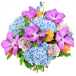 The photograph shows a lavish, artistically arranged bouquet set before a pure white backdrop, the colours and textures standing out with striking clarity. Generous clusters of sky-blue hydrangea form the rounded base, each head made up of hundreds of tiny, overlapping petals that look soft and airy, lending the design a sense of calm volume. Rising from this blue foundation, dramatic Vanda orchids in vivid magenta-purple immediately draw the eye; their wide petals are richly veined and speckled with deeper tones, giving them an exotic, almost tropical presence in the composition. Nestled between these focal blooms are roses in a delicate lavender-grey, verging on dusty mauve, their petal edges gently curved and layered, suggesting quiet sophistication and romance. To add warmth, smaller roses in shades of peach and light orange peek through the cooler tones, their compact blossoms glowing like little embers that gently brighten the overall palette. Tall, slender stems of indigo-blue delphinium lift from the top and sides, introducing graceful vertical lines and adding depth without disturbing the bouquet's lush, tightly packed silhouette. A frame of fresh, dark green foliage supports the flowers and enhances their colours, without drawing focus away from the hydrangeas and orchids. The lighting is bright and even, as if the bouquet were positioned beneath a skylight in a Queensbury studio, making each hue appear crisp yet natural. It feels like a modern, luxurious design, ideal for celebrating big life moments or sending a refined floral gift to someone special in and around Queensbury.