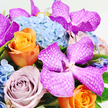 A richly detailed bouquet fills this close-up image, photographed from above and framed by a spotless white background that allows the colours and forms to shine as if displayed in a chic Queensbury living room. At the heart of the design, striking Vanda orchids in vivid magenta and fuchsia unfold their wide, almost waxy petals, each one traced with an intricate lattice of pale, silvery white veins. These orchids lend an unmistakably exotic feel, their patterning drawing the eye again and again, much like an intricate fabric one might notice in a boutique near Queensbury's local shops. Encircling the orchids, roses in complementary shades offer warmth and softness. A standout bright orange rose lies towards the lower left, its petals wrapped tightly in the centre and unfurling towards the edges with a sense of movement, like a small, captured sunrise. Close to it, a rose in muted lavender-a gentle, dusky mauve-adds a note of mature romance, hinting at vintage floral styles popular for weddings and celebrations held in venues around Queensbury and nearby Edgware. Above these, a generous mound of light blue hydrangeas stretches across the middle and upper section of the arrangement, made up of countless petite florets that create a plush, cloud-like cushion supporting the feature blooms. Flecks of vibrant green foliage thread between the flowers, giving the arrangement a freshly picked, garden-inspired character. The overall mood is one of elegant abundance: bold yet finely balanced, making this bouquet ideal for marking meaningful moments, from milestone birthdays to heartfelt thank-you gifts, delivered with care across the quiet streets and busy homes of Queensbury.
