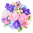 Captured against a simple white background, this opulent, tightly domed bouquet glows with a blend of soft pastels and vibrant jewel tones that feels both modern and timeless, like a special occasion unfolding in Queensbury. Dominating the centre are several large pastel pink peonies, their petals ruffled and plentiful, each bloom opening into a plush, cushion-like rosette that speaks of romance and tenderness. Cradling these peonies are cloud-like clusters of sky blue hydrangeas; their many tiny blossoms gather into generous, rounded heads that cool the composition and evoke a sense of serenity, reminiscent of peaceful skies above local gardens and green spaces. Scattered throughout, rich fuchsia-purple Vanda orchids inject dramatic contrast, their satiny petals patterned with fine speckles and veins that lend an exotic, high-end feel, as if chosen for a particularly stylish celebration near Queensbury's bustling high street. Flowing through the design are coral pink calla lilies, each bloom a sleek trumpet that curves with effortless grace, adding elegant lines and a contemporary sculptural quality to the otherwise full, rounded form. Delicate light pink and creamy white spray roses fill the smaller gaps, layering in a classic, romantic texture and suggesting a soft, sweet fragrance that would lightly perfume a dining table or hallway. Around the base and interwoven between blossoms, velvety, silvery-green dusty miller sits beside deeper green foliage, framing the flowers and providing visual depth. The overall effect is harmonious and luxurious-a bouquet that seems tailor-made for heartfelt congratulations, deep appreciation, or a romantic gesture delivered locally across Queensbury, with every stem arranged to convey warmth, care, and enduring beauty.