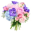 Captured against a clean, white studio background, this hand-tied bouquet feels both luxurious and inviting, like a carefully curated glimpse of spring in Queensbury. Dominating the arrangement are large, light pink peonies, their layers of ruffled petals unfurling generously, creating a soft, rounded heart to the design that hints at romance and new beginnings. Around them, powder blue hydrangeas gather in plush, cloud-like clusters, their many tiny florets forming a gentle cushion of cool colour that contrasts beautifully with the warm pink tones. Scattered throughout, vivid deep purple Vanda orchids make a striking appearance, their broad, patterned petals lending an exotic note and giving the bouquet a sense of high-end elegance, suitable for an intimate celebration near Queensbury Circle or a chic dinner party at home. Sleek fuchsia pink calla lilies curve gracefully through the flowers, introducing a streamlined, contemporary shape that complements the roundness of the peonies and hydrangeas. Between the larger blooms, blush-toned spray roses peek out, adding delicate, romantic touches and a softly textured layer that feels intimate and thoughtful. The flowers are supported by rich dark greenery and velvety, silvery dusty miller leaves, which subtly soften the palette and provide visual depth around the edges. At the bottom, the stems are gathered neatly, revealing the natural structure of the bouquet and the florist's careful hand. The overall impression is of a fresh, expertly arranged floral gift, perfect for same-day delivery around Queensbury, Kingsbury, or nearby Stanmore, bringing a serene yet celebratory mood to anniversaries, thank-you gestures, or simply brightening a loved one's living room.