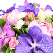 Captured against a bright, uncluttered white background, this lavish bouquet appears as a rich tapestry of pink and purple blooms woven together with fresh greenery. At its core sit several dramatic Vanda orchids, their petals painted in velvety shades of lavender and deep amethyst, each petal patterned with fine, netted veining that adds an almost mosaic-like detail. Cradling these exotic flowers are generous peonies, some just beginning to unfold, others fully open and billowing, with layers of silky petals in soft pastel pinks and deeper blush rose hues that suggest tenderness and romance. Threaded among them are pink roses, from tight buds promising future fragrance to open, cupped blooms that feel timeless and familiar, the sort you might associate with a proposal dinner in a cosy Queensbury restaurant. Here and there, clusters of small white chrysanthemum or pom-pom flowers punctuate the design, their starburst forms scattering light across the arrangement and lending a playful brightness. A lush border of glossy green foliage, including a few softly variegated leaves, anchors the composition, recalling the leafy streets and gardens that shape daily life around Queensbury. Every stem is gathered closely, so the bouquet feels full, rounded, and luxurious, with no empty spaces-just a continuous, textured surface of petals and leaves. The lighting is even and gentle, preserving the true colour of each bloom and enhancing the sense of freshness, as if the flowers have just been conditioned and arranged by a careful local florist. This is a bouquet that visually whispers celebration and deep affection, fitting for birthdays, thank-yous, or romantic surprises delivered across Queensbury.