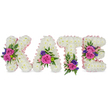 A freestanding floral tribute spells the name KATE in four three-dimensional, upright letters, each formed from a dense carpet of pristine white chrysanthemums that read as soft, snowy texture against a clean white backdrop. The chrysanthemum heads are tightly packed to create a plush, sculpted surface you can almost feel with a hand: velvety, cushiony and consistently pure in tone. Each letter's outer and inner edges are traced with a pale pink satin ribbon that catches the studio light and lends a gentle blush halo, the satin's subtle sheen softening the overall silhouette. Against the white base, vibrant accent clusters punctuate the composition: large velvety fuchsia-pink roses and smaller pastel pink spray roses provide warmth and affection, while deep purple-blue sprigs of lisianthus or statice add a cool, dignified contrast. Sprays of fern fronds and smooth eucalyptus leaves tuck around the blooms, offering feathered texture and a whisper of green that balances the layout. The placement is deliberate - a bold cluster on the diagonal of the K, a bloom grouping near the lower right curve of the A, a sympathetic cluster at the base of the T, and two composed bunches on the middle and lower bars of the E - each positioned to create visual rhythm and to guide the eye across the name. The arrangement reads as a comforting, personalized memorial piece, its quiet palette and layered textures evoking solace and remembrance. Delivered with care across Queensbury and nearby Kingsbury, it's the kind of bespoke sympathy tribute a local florist would prepare for a funeral or celebration of life, offering both craftsmanship and tender meaning.