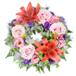 A generously full circular wreath rests against a pure white background, its flowers arranged with the kind of care that suggests a deeply personal farewell. Two large reddish-orange Asiatic lilies stand out immediately, one set near the top of the ring and the other closer to the bottom, their wide petals and pronounced stamens forming warm beacons of colour. Surrounding them is a profusion of soft pink roses, some leaning towards blush, others a gentle lavender-pink, each rose opening in layered spirals that feel soothing and elegant. Between these roses, ruffled lisianthus blossoms in pale pink and intense purple add variation in both tone and texture, their slightly frilled petals catching the light and giving the wreath a sense of depth. Fine sprays of tiny lavender-blue blooms, likely statice, weave in and out of the larger flowers like a diffuse, calming cloud. Distinctive blue eryngium thistles, with their spiky, cone-shaped centres and jagged collars, bring an unexpected yet tasteful contrast that feels modern rather than harsh. The foliage is rich and plentiful: rounded silvery-green eucalyptus leaves, feathery fern fronds, and deeper green leaves overlap to create a firm, natural base. Nestled discreetly within are several unopened lily buds, a gentle reminder of new blossoms still to come. At the feet of the lilies, bright, striped green leaves are folded and shaped into neat loops, showing a craftsman's touch. This wreath, reminiscent of tributes delivered to services around Queensbury and nearby parks and chapels, carries a serene mix of pastels and vibrant accents, symbolising both remembrance and the enduring circle of love.