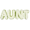 A graceful floral tribute forms the word AUNT in large, capital letters, arranged in a neat row against a simple white background that keeps the focus entirely on the flowers. Each letter is filled to the edges with compact white chrysanthemum heads, their petals overlapping like tiny feathers to create a luxurious, cushioned texture. The flowers are uniform in size and tone, their soft whiteness radiating a sense of calm, purity, and gentle remembrance, much like the quiet atmosphere of a well-kept chapel in Queensbury on a still morning. Surrounding every letter is a fine border of bright green-either a ruffled foliage collar or a smooth fabric ribbon-wrapping each letter in a frame of fresh colour. 

This green trim not only defines the shapes clearly, making the word AUNT easy to read from across a room, but also introduces a quiet note of life and hope. The contrast between the cool, snow-like petals and the crisp greenery feels balanced and comforting, echoing the combination of sorrow and gratitude often felt at a funeral or memorial. The letters sit evenly spaced, their gentle curves and tidy lines reflecting careful, experienced hands, perhaps from a local Queensbury florist who regularly helps families express what words alone cannot. You can almost sense the soft fragrance of the chrysanthemums and the hush of loved ones gathered close by, as this tribute rests among other sympathy flowers, paying a heartfelt and respectful honour to a treasured aunt and the memories she leaves behind.