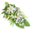 A dignified funeral sheaf is captured against a crisp white studio background, its elongated, asymmetrical form drawing the eye from a full cluster of blooms at the upper section to a softly tapering point below. The focal flowers are white oriental lilies, their long, trumpet-shaped petals arching outward with quiet grandeur. Some lilies are wide open, revealing the subtle fragrance you might notice when you pass a carefully tended garden in Queensbury on a still morning; others are partially opened buds, their green-tinged tips just beginning to part. Nestled among them, white lisianthus blossoms with fine lavender edges introduce a gentle note of colour, reminiscent of a distant horizon. Numerous small buds and side stems run throughout the arrangement, adding texture and a sense of unfolding time. Beneath and around the blooms, a bed of verdant foliage holds everything in balance. Broad, glossy leaves form a stable base, a few of them cleverly folded and twisted to create sculptural lines through the centre. From the lower right, slender palm-like greens extend outward and down, helping shape the spray's soft diagonal and adding a feathery, almost whispering lightness at the edges. The overall mood is one of serene remembrance, refined yet never showy. This is the sort of sympathy arrangement a family in Queensbury might select for a funeral service, graveside tribute, or memorial gathering at home, trusting a local florist to convey their condolences when words feel insufficient. The flowers and greens together create a calm, natural focal point, inviting reflection and offering gentle comfort in a time of loss.