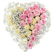 A generous heart-shaped floral arrangement fills the frame, photographed against a smooth white background so that its romantic colours stand out with clarity. The heart is divided vertically into two balanced halves, giving the impression of two emotions held together in one tribute. On the left side, numerous creamy white and pale yellow roses form a dense, velvety field, their petals opening in layered spirals that convey purity, reverence, and calm. On the right, equally abundant medium pink roses echo the same fullness and shape, but bring a warmer, more tender mood, like the memory of a loving smile. Running throughout the design, and particularly along the central line where cream meets pink, are fine sprays of delicate white baby's breath. These tiny clustered blossoms fill any spaces between the roses, trace the outer edge of the heart, and soften the overall outline, creating the impression of a floral heart resting on a bed of soft, white cloud. The arrangement has no distractions - no foliage, bow, or visible base - so the message of love and remembrance feels very direct and sincere. It suggests a carefully planned funeral or memorial tribute that could be delivered to a service in Queensbury, perhaps to a local chapel or cemetery close to Honeypot Lane or Queensbury Park. Each rose appears freshly opened, as if arranged shortly before the photograph was taken, reflecting the skill of a local florist who understands how to balance colour and emotion in sympathy flowers, allowing the heart to speak gently on behalf of grieving family and friends.