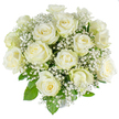 A vision of tranquil elegance: roughly two dozen freshly opened white roses are gathered into a dense, rounded bouquet, their creamy inner petals spiralling into brighter, crisp outer edges that glow against a pristine white background. Scattered like a soft mist throughout the composition, clouds of tiny white baby's breath (Gypsophila) thread between the larger blooms, creating a delicate, lace-like texture that lightens the overall weight of the arrangement. Deep, glossy green leaves peek out sparingly beneath and between the roses, framing the composition and providing subtle structure so each rose sits with calm and balance. The surface of each petal looks velvety and cool under soft lighting, and if you imagine leaning in you can almost sense a faint, clean sweetness-an early-summer perfume rather than an overpowering scent. The dome-shaped form reads as both classic and intimate, a design suited to quiet, meaningful moments: a wedding morning, a christening, an anniversary, or a gesture of sympathy and remembrance. As a Queensbury florist would say, the restrained palette of whites and greens translates easily to many settings, from a minimalist ceremony to a family memorial, because the arrangement's poise and purity let emotion take center stage. The visual contrast between the substantial rose blooms and the airy gypsophila lends the bouquet a timeless quality-refined without being fussy, peaceful without feeling cold. Presented on a clean white plane, the flowers appear almost luminous, a gentle affirmation of calm and new beginnings for anyone receiving them in the Queensbury area.