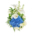 A vision of serene elegance described by a local florist: vertically presented against a clean white backdrop, this hand-tied bouquet balances cool blue and pristine white with rich green texture. At the centre sits a dense, rounded dome of deep blue hydrangea-hundreds of tiny florets packed together to form a plush, almost cloud-like focal mass that reads vividly against the light. Rising above and around that blue heart are three sculptural white calla lilies, their waxy trumpet-shaped petals curling with classical poise and revealing slim, bright yellow spadixes that punctuate the composition like quiet beacons. Interspersed among these are creamy white roses, each bloom layered with velvety petals that soften the arrangement and add a timeless, comforting softness. Tall spikes of white stock (and hints of snapdragon-like blooms) introduce verticality and a delicate, airy texture, their clustered tiny flowers catching the light. The whole piece is grounded by lush foliage: broad glossy leaves lending deep contrast and feathery leatherleaf fern fronds providing a fine, filigree texture along the edges. The light is soft and even, allowing the whites to glow gently and the blues to remain crisp and cool, while a faint, clean floral scent seems to lift from the bouquet-a quiet mix of fresh roses and green stems. This composition conveys calm dignity and would be equally fitting for a sympathetic tribute or an elegant celebration. Locally mindful, this bouquet reflects the understated tastes of Queensbury shoppers-suitable for delivery around Queensbury Station, the Kingsbury border, or to homes and venues near Wembley with care and respect.