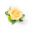 A small, elegant boutonniere or corsage photographed against a clean white backdrop, centred on a single, full peach rose whose soft apricot petals unfurl in tightly layered spirals. The blossom reads as warm and tender, with inner petals slightly deeper in tone, while the outer petals melt to a pale peach that catches the bright studio light. Nestled just below and to the left, a button chrysanthemum in a vivid lime green offers a playful pop of texture; its tiny, densely packed florets form a neat, rounded cushion that contrasts the rose's velvety sweep. Deep green ruscus leaves create a stable, glossy base, their smooth surfaces reflecting light and grounding the arrangement, while slender variegated leaves-striped in lighter green and cream-are curled with careful handwork to frame the rose and lend a modern, architectural line. From the bottom right a short strand of lustrous white faux pearls drapes gently, the beads catching highlights like miniature dew drops and introducing a classic, bridal touch. The piece is bright and sharply lit so every petal edge and curled leaf reads clearly, conveying freshness and meticulous craftsmanship. As a florist who arranges for weddings and formal events around Queensbury, I picture this as an understated, heartfelt accent for a groom, mother, or prom guest - subtle perfume of rose imagined, soft texture to the touch, and a composition that balances tradition with a contemporary green twist. The overall mood is refined, celebratory, and quietly romantic, perfect for close-up photography or pinned to lapels for special-occasion styling in the local neighbourhood.