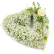 A serene heart-shaped wreath composed almost entirely of tiny, cloud-like white Baby's Breath (Gypsophila) fills the frame with a soft, feathered texture. Each cluster of minute white blossoms sits densely against its neighbours, creating a continuous, billowy surface that reads like fresh snow or a pale summer meadow captured in miniature. Toward the upper right curve of the heart, a single creamy-white rose opens gently, its spiral of tightly layered petals offering a quiet focal point; the rose's subtle, warm cream tone reads slightly away from the cool white of the gypsophila, giving the composition a tender, human centre. Sprays of glossy, variegated ivy and slender eucalyptus-like greenery thread through the white mass, their deep greens and faint silver tones providing depth and a living contrast as they cascade softly down the right side. The foliage's textures-waxy ivy leaves with defined lobes and the slender, slightly glaucous eucalyptus stems-catch light differently from the cottony baby's breath, creating a layered relief that feels handcrafted and intimate. Soft, even lighting on a pristine white background lets every tiny blossom and leaf edge remain distinct, emphasising purity and calm without distraction. As a sympathy design this wreath reads as an understated expression of remembrance: pure white for peace, a single rose for enduring love, and the green tendrils as the quiet threads of life that remain. I picture it placed with dignity at a local Queensbury chapel or delivered to a family home on the peaceful streets near Queensbury station, where neighbours gather to remember with quiet affection.