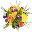 Photographed from directly overhead on a bright white background, this bouquet appears as a vibrant, rounded burst of colour, carefully composed to showcase every bloom. At its heart, numerous golden yellow roses and large, feathery yellow chrysanthemums cluster tightly together, creating a rich, sun-warmed centre that instantly draws the eye. Radiating out from this core, orange gerbera daisies with dark central disks provide bold, graphic accents, their flat petals fanning out like spokes on a wheel. Nestled among the larger faces, lime green button chrysanthemums form small, compact domes, offering a lively, modern texture and a refreshing splash of springlike green. Threads of deep purple lisianthus run through the arrangement, some flowers fully open with soft, spiralling petals, others still in bud, adding elegance and a cool contrast to the warm tones. Between the blossoms, glossy red hypericum berries are scattered in neat clusters, their smooth surfaces catching the light and adding a festive touch. Long, fine blades of bear grass curve outward and upward from the densely packed centre, breaking the circular outline and giving a sense of airiness and movement. Every element is sharply defined against the white ground, as if the bouquet has just been set down in a bright studio near Queensbury Underground station. The effect is one of pure joy and celebration, evoking the feeling of a sunny walk past local gardens on Turner Road, and making this design perfect for birthdays, thank-you gifts, or simply sending a warm, uplifting message through fresh flowers in Queensbury.