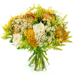 Captured against a seamless white background, this hand-tied bouquet radiates a gentle autumn warmth, like sunlight slanting through trees on a Queensbury afternoon. Its rounded shape is densely layered with large chrysanthemums whose spiky, finely cut petals glow in tones of golden yellow, coppery orange, and rich amber, giving the arrangement a sense of depth and fullness. Nestled among these textured blooms are classic creamy white roses, each bud opening into soft, spiralling layers that contrast elegantly with the more rugged mums and bring a refined calm to the design. Standing out with unmistakable personality, several yellow-orange celosia flowers rise like sculpted crests, their plush, velvety cockscomb texture forming intricate folds and ridges that draw the eye and invite touch. Throughout the bouquet, dainty clusters of white daisy-like matricaria with bright yellow centres create a light, frothy effect, reminiscent of wildflowers gathered from a nearby verge on the way back from Queensbury station. Lush greenery wraps around and between the blooms: feathery lime-green solidago and varied foliage add splashes of fresh green, making the warmer colours appear even richer while giving the piece a lively, garden-fresh energy. The stems are trimmed evenly and tied securely with green florist's tape, underscoring the professional craftsmanship and making the bouquet ready to gift or place straight into a waiting vase. This arrangement would suit a cosy dinner at home, a seasonal thank-you for a neighbour, or a same-day delivery treat across Queensbury, conveying comfort, gratitude, and the quiet joy of nature brought indoors.