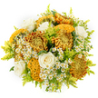 This image shows a sumptuous autumn bouquet floating against a pristine white backdrop, as if all the richness of the season has been gathered into one carefully crafted design. The main stars are generous chrysanthemums in glowing shades of honey gold, copper, and burnt orange, their petals layered in tight, ruffled whorls or twisted into captivating, brain-like folds that create a sense of depth and movement. Tucked among these dramatic blooms are four to five elegant white roses, each rosebud unfolding in a velvety spiral that instantly softens the stronger colours and introduces a quiet, timeless grace. Between the larger flowers, tiny white daisy-like blossoms-resembling feverfew or chamomile-pepper the bouquet with their bright yellow centres, introducing a whimsical, wildflower charm that lightens the overall look. Slender stems of lime-green solidago and finely cut foliage weave through the arrangement, their fresh, citrusy green hue lifting the richer tones and adding feathery texture at the edges. The bouquet is gathered into a rounded, compact form, giving it an abundant yet balanced feel, the sort of piece you might see brightening a dining table in a Queensbury home overlooking the open spaces near Queensbury Park. With the clean white background and even lighting, every nuance of colour, texture, and form stands out: the plush chrysanthemum heads, the satin-like rose petals, and the airy filler flowers that give everything a sense of breath and space. It's an arrangement that visually suggests comfort, optimism, and celebration, whether used for an autumn birthday, a thank-you gift, or simply to bring seasonal warmth into everyday life in Queensbury.