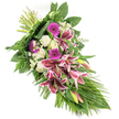 An elongated sympathy arrangement, designed as a funeral spray or sheaf, is displayed against a spotless white background, making every colour and contour stand out with clarity. The composition flows diagonally from tightly bound stems at the top left, down through a lush centre of blossoms, and into a gentle cascade of greenery at the bottom right, forming a graceful crescent or teardrop shape. At the centre are several striking Stargazer lilies, their rich fuchsia-pink petals edged in white and scattered with dark burgundy speckles that convey intensity and heartfelt emotion. Some lilies remain in bud, tipped with green and blush pink, hinting at beauty that continues to unfold. Around them, clusters of creamy white roses and textured white carnations create a soft, serene contrast, evoking peace and reverence. Bright magenta gerbera daisies add vivid pops of colour, their rounded, petal-packed faces suggesting affection and cherished memories. Fine sprays of tiny white daisy-like filler flowers are threaded throughout the spray, adding delicacy and visual lightness. The flowers are framed by an abundance of verdant foliage: broad, glossy leaves give structure, feathery fern fronds add airy texture, and long, slender, grass-like leaves arc outward and downward, emphasizing the elongated, flowing design. The overall effect is of a carefully considered, hand-crafted tribute that would sit beautifully beside a casket or at a memorial gathering in Queensbury, perhaps after a quiet walk through Canon's Park. It radiates calm, respect, and a gentle promise of comfort to those who are grieving.
