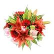 A sumptuous, tightly composed bouquet sits against a clean, bright white background, its full, rounded silhouette bursting with warm colour and tactile detail. At the core, several large Asiatic lilies in a vivid orange-red sweep open with recurved, velvety petals and subtle dark speckling, their stamens and anthers offering a darker punctuation that draws the eye. Nestled among those dramatic blooms are rich crimson Gerbera daisies with many slender petals fanning from a deep, almost black centre, adding bold texture and a graphic counterpoint to the lilies. Soft blush-pink roses appear throughout in various stages of bloom - from neat, velvet-wrapped buds to gently unfurling blossoms - bringing a romantic softness that quiets the heat of the reds and oranges. Clusters of glossy red hypericum berries are threaded through the arrangement like small jewels, their shiny surfaces catching the light and introducing a playful, bumpy texture. The bouquet is lavishly backed with varied greenery: smooth, broad leaves that give a deep green backdrop, slimmer lance-shaped lily leaves that arch and frame, and a few variegated leaves with pale streaks to lift the palette. The overall composition reads as warm and celebratory - the kind of arrangement that smells faintly sweet and slightly spicy in soft morning light and makes a room feel more festive. As a local florist in Queensbury I often suggest this combination for anniversaries or milestone birthdays; its confident colours and layered textures deliver presence and care while remaining elegantly hand-arranged for delivery across Queensbury and neighbouring Kingsbury or Wembley.