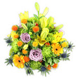 A lush, mounded bouquet sits against a clean white background, its dense composition described with the familiarity of a local Queensbury florist. Warm golden-yellow Asiatic lilies are the visual anchors, some petals fully unfurled to reveal speckled throats and stamens, others held as long, chartreuse-yellow buds that lift the eye and give the arrangement vertical energy. Soft lavender-purple roses, their petals spiralling inward, are tucked into the centre like a calm heart, offering a cool, romantic counterpoint to the brighter tones. Large orange Gerbera daisies fan their flat petals outward from dark centres, injecting cheerful punctuation, while vivid, lime-green button chrysanthemums create ruffled, moss-like mounds that fill negative space and add tactile volume. Scattered through the mass are small spherical, spiky orange and golden-yellow accent blooms reminiscent of Craspedia, giving playful pops and varied texture. Blue-grey sea thistles, likely Eryngium, emerge at the bouquet's edges with star-like bracts and a cool, architectural silhouette that contrasts the warmth of the lilies and gerberas. A tapestry of glossy and matte foliage - broad lily leaves, slender sprigs and textured fillers - grounds the colours and creates depth in soft studio lighting that highlights petals and shadow. The overall mood is celebratory and comforting, suitable for birthdays, thank-you gestures, brightening a home, or quiet remembrances. As a florist who often gathers flowers for local deliveries around Queensbury station and neighbouring streets toward Kingsbury and Wembley, I picture this bouquet brightening a kitchen table or community hall, its scent gently floral, its texture rich and uplifting, crafted to feel like a thoughtful, hand-arranged gift from the neighbourhood.