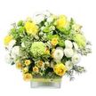 A cheerful, garden-style bouquet in tones of yellow, white, and green fills a clear square glass vase, photographed sharply against a bright white background to highlight every petal and leaf. At the centre, large yellow roses open in layered spirals, while smaller yellow spray roses nestle around them, creating a sense of fullness and abundance. White pompom chrysanthemums form compact, rounded blooms that lend a soft, plush texture, their dense petals contrasting with the smoothness of the roses. Scattered among them are vivid lime green button chrysanthemums, tiny domes of colour that echo the fresh green of early spring growth along the paths near Queensbury Park. Slightly larger pale green flowers, ruffled like delicate carnations or decorative mums, introduce gentle volume and a cool, soothing hue. The bouquet is framed and threaded with a variety of foliage: bold variegated leaves tipped in white, deeper green leaves adding shadow and depth, and airy sprays of minuscule white star-shaped filler flowers that bring lightness and intricacy. The square glass vase allows the stems to be visible, adding a clean, contemporary feel, while a rustic band of natural-looking fibre encircles its middle. Over this, a bright lime green ribbon lies flat and neat, mirroring the lively green of the flowers above. The entire arrangement radiates freshness, as if it has just been arranged by a local florist for delivery to a home off Church Lane or a cosy flat near Queensbury Station. It feels uplifting and celebratory, suitable for birthdays, thank-you gestures, or simply bringing a burst of life into an everyday room.