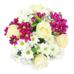 Viewed from above, this bouquet appears as a full, rounded cluster of flowers, perfectly composed from creamy roses, white daisies, and vivid magenta spray chrysanthemums, all pressed closely together so that only small hints of greenery escape between the blooms. The cream-white roses hold the centre of the composition, their delicately layered petals spiralling outward in soft, velvety folds that give an impression of serenity and gentle romance, like a thoughtful surprise waiting on a kitchen table in Queensbury after a long day. Encircling them is a generous scattering of daisy-like white chrysanthemums, each bloom neatly formed with crisp petals and a bright yellow-green centre that adds a light, cheerful sparkle across the arrangement. Running through this sea of white, the fuchsia spray chrysanthemums stand out in bold contrast, their deep pink petals and compact buds adding playful touches of colour and movement, as though the bouquet is quietly celebrating. A few dark green leaves peek from the dense mass of petals, adding just enough foliage to remind you of the garden origins of these flowers without disturbing the bouquet's clean, modern look. The piece is photographed against a pure white background with even lighting, making every petal edge and subtle shade difference clearly visible. The overall effect is of a joyful yet composed bouquet, perfect for sending warm wishes to a friend in Queensbury, marking a quiet anniversary, or brightening a small flat near the local shops, where a simple arrangement of fresh flowers can transform an ordinary corner into a moment of beauty.