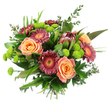 Viewed against a clean, white background, this hand-tied bouquet appears bright and confident, every bloom standing out as though freshly arranged by an expert florist in Queensbury. At the heart of the design, soft peach and apricot roses open fully, their many layered petals forming rounded, romantic blossoms that feel calm and comforting. Encircling them are Gerbera daisies in rich burgundy, deep magenta, and dusty rose, with wide petals and glowing golden or orange centres that add a playful, upbeat mood-ideal for celebrations, thank-you gestures, or simply lifting someone's spirits around Queensbury Circle. Rising near the upper centre is a standout protea, instantly recognisable with its tall, conical profile and overlapping bracts in shades of reddish-brown and maroon, bringing a touch of wild, exotic energy to the arrangement. Dotted through the bouquet are lime-green button chrysanthemums, their tidy, dome-shaped flowers offering a bright, zesty contrast and a pleasing, textured surface that invites the fingertips. Surrounding all these blooms is a lush collar of greenery: broad, shiny leaves support and frame the flowers; fine grass-like strands add gentle movement; and slender eucalyptus sprigs introduce silvery tones and an imagined cool, aromatic freshness. All the stems are pulled together tightly at the base, tied in a classic hand-tied bundle that's easy to place into a vase after delivery. The bouquet as a whole feels rich, modern, and inviting, like a burst of garden colour brought indoors to brighten a home, office, or celebration anywhere across Queensbury and the nearby residential streets.