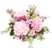In this photograph, a lavish hand-tied bouquet in shades of pink, fuchsia, and lavender appears almost to float against a clean white background, its rounded shape full and overflowing. At the centre, three generous clusters of pale pink hydrangea create a dreamy, cloud-like core, each head composed of countless overlapping florets that look soft and touchable. Around these central blooms, blush pink roses curl open in elegant spirals, while others remain as smooth, tight buds, bringing both promise and classic romance to the design. Threaded throughout are sprigs of tiny, starry waxflowers in deeper pink and magenta, their fine stems adding intricate detail and a sense of movement, like confetti scattered through the bouquet. Here and there, delicate clusters of small, five-petalled pink flowers, similar to phlox, blur the lines between the larger blooms, lending a gentle, meadowy feel. From the edges, slim stems carry bell-shaped flowers in lilac and periwinkle tones, reminiscent of campanulas, their nodding cups introducing a cool, slightly whimsical note. Fresh green foliage-broad hydrangea leaves and slender leafy stems-peeks between the blossoms, grounding the pastel hues with a hint of garden freshness, as if the bouquet had just been gathered from a hidden courtyard near Queensbury station. The lighting is bright and even, highlighting every texture and subtle colour transition. Overall, the arrangement conveys a mood of quiet celebration and tenderness, perfect for marking new beginnings, sending congratulations, or arranging for local delivery in Queensbury to brighten someone's home with soft, spring-inspired beauty.