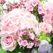 In this close-up floral portrait, the camera lingers over a softly romantic bouquet, filled with layers of blush pink and gentle lavender that seem to glow as if lit by a calm morning sky above Queensbury. Dominating the upper left and center is a full, rounded hydrangea head in the palest pink, its countless tiny petals overlapping in a plush, cloud-like cluster that gives the arrangement its plush volume. Just below it on the left, a classic, medium-blush rose unravels in a perfect spiral, its velvety petals curling outward with quiet confidence, while another rose on the mid-right offers the same tender hue and graceful form, helping to guide the eye across the bouquet. Dotted in between are clusters of smaller, more vibrant blooms in saturated fuchsia and magenta-probably waxflower or phlox-whose star-shaped or flat, five-petaled faces with darker centers provide a playful counterpoint to the larger, more composed flowers. On the lower right, a single bell-shaped bloom in soft lavender, reminiscent of campanula, leans forward, adding a cool, pastel accent that gently breaks up the pinks. Supporting all of this, slender stems and rich, dark green leaves weave through and around the blossoms, creating a lush, textured background that enhances the colours' depth, much like the greenery in Queensbury's residential gardens and nearby open spaces. The soft lighting emphasizes the natural sheen of the petals and the fresh, just-arranged quality of the bouquet. It feels like a thoughtful, intimate gift-perfect for anniversaries, birthdays, or simply brightening someone's day with a touch of floral tenderness in Queensbury.