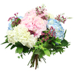 A luxurious cluster of pastel hydrangeas is captured in sharp detail against a stark white background, the entire bouquet glowing softly as if lit by gentle daylight filtering through a Queensbury bay window. At its heart, large, domed hydrangea blooms in blush pink, pale blue, and creamy ivory press closely together, each composed of tiny four-petalled florets that give the arrangement a rich, cloud-like volume. The pinks feel warm and affectionate, the blues cool and soothing, and the whites add a clean brightness that ties the palette together. Scattered between these generous heads are fine stems of miniature magenta blossoms, similar to waxflowers, their deeper tone punctuating the pastels with a subtle sparkle, like bright buds spotted in front gardens along Beverley Drive. Encircling the blooms, strong green foliage creates a verdant collar; glossy, dark green leaves lend structure, while smaller, lighter leaves soften the outline and add a sense of movement. The stems are visible at the base, neatly gathered and bound, confirming the hand-tied, florist-crafted character of the design. Even, uncluttered lighting makes every colour and texture stand out, from the velvety petals to the fresh, slightly waxy sheen of the leaves. The bouquet gives off an impression of calm optimism and gentle celebration, suitable for welcoming a new baby, comforting a friend, or dressing a living room in Queensbury with an elegant floral accent, ready for same-day delivery from a nearby flower shop.