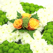 In this image, a refined funeral cross is crafted as a tribute to Irish heritage, blending symbolic colour with gentle, consoling textures. The cross itself is densely paved with pure white chrysanthemums, each bloom layered closely to form a smooth, cushion-like surface that evokes purity and stillness. Along the outer edges and at the tips of the cross's arms, clusters of lime-green button chrysanthemums punctuate the design, their rounded, button-like heads giving a lively yet respectful touch, like pockets of fresh spring moss. At the very centre lies a cluster of three roses in radiant shades of orange and gold, their softly spiralled petals opening like small flames of light against the snowy background. These central roses are framed by sprigs of bright green foliage and tiny textured fillers, with airy, fern-shaped leaves fanning gently around them to add depth and a subtle sense of movement. The overall palette-green, white, and orange-quietly echoes the Irish flag without overpowering the serene mood. The lighting is soft and even, suggesting the tribute has been carefully arranged and laid out, perhaps in a funeral home or church setting in Queensbury, ready to be taken to a service near Queensbury Circle or placed at a graveside. Created by a local florist who understands both the emotional weight of farewell and the significance of cultural symbols, this floral cross offers a quiet message of peace, remembrance, and enduring love for families saying goodbye to someone with Irish roots.