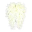 In this photograph, a delicate pair of angel wings has been created from an abundance of white flowers, edged with soft feathers, forming a serene funeral tribute that feels both tender and celestial. The central body of each wing is built from tightly clustered white chrysanthemums and similarly small blooms, their many petals overlapping to create a plush, quilted texture that looks cool and smooth, as if your fingers would slide gently over the surface. Interspersed among the petals are tiny hearts of very pale green and creamy yellow, subtle natural tones that lend life and dimension without interrupting the overall snowy appearance. Tracing the outer curve of the wings, a fringe of downy white feathers adds movement and softness, echoing the natural arc of real wings in flight and suggesting lightness, as though the piece could rise gently from the white background it rests upon. The lighting is calm and even, reminiscent of soft daylight filtering into a quiet room in Queensbury, perhaps in a family home or a local chapel where such tributes are often delivered. Shadows are faint and diffused, allowing every feather and blossom to be clearly defined yet never stark. As a florist who often supports bereaved families across Queensbury, I see in this design a visual expression of comfort: a symbol of protection, purity, and the sense that a loved one is still close, wrapped in peace. The arrangement speaks wordlessly of remembrance and hope, its angelic form offering solace amid grief.