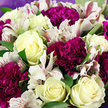 The photograph offers an intimate, eye-level perspective of a hand-tied bouquet so abundant that the blooms completely fill the frame, as if you're leaning in to inhale their scent in a quiet Queensbury living room. At its heart, several creamy white roses open in graceful spirals, the innermost petals still hugging close while the outer layers ease outward in smooth, satiny folds; subtle hints of pale butter-yellow deep in a few centres lend warmth and a sense of new beginnings. Encircling and weaving among these roses are deep magenta and rich purple carnations, their profusely ruffled petals forming plush, velvety domes that add a sense of luxury and depth, like small pockets of evening sky within the bouquet. Interspersed between these fuller flowers, white alstroemeria - each bloom shaped like a slender trumpet - arch delicately outward, their petals decorated with fine raspberry streaks and tiny speckles that bring a feeling of movement and intricacy. Glossy green leaves emerge here and there, supporting the blossoms and creating pleasing pockets of contrast, reminiscent of the leafy paths around nearby Queensbury Park. At the edges of the image, a soft lavender-toned wrapping cradles the bouquet, its muted purple hue gently echoing the carnations and framing the composition without distraction. The lighting is soft and balanced, with no harsh highlights, allowing the various textures to stand out: the silkiness of the roses, the feathery ruffles of the carnations, and the delicate, papery feel of the alstroemeria petals. Altogether, the bouquet feels both composed and natural, ideal for a thoughtful delivery to a neighbour in Queensbury to celebrate a special milestone, convey sympathy, or simply share a moment of quiet, elegant joy.