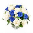 A tranquil blue and white sympathy bouquet stands in a clear glass vase, photographed from a slightly elevated angle against a pristine white background, as though resting on a bright sideboard in a calm Queensbury home. The flowers are arranged in a gentle dome, every stem thoughtfully placed to create a harmonious, rounded silhouette that suggests both fullness and restraint. At the centre, large ivory and creamy white roses open in generous spirals, their soft, velvety petals echoing folded fabric and offering a sense of tenderness and peace. Threaded throughout, deep royal blue roses introduce a powerful contrast; their cool, velvety tones range from rich cobalt to inky navy, recalling still evening skies over quiet streets off Honeypot Lane. Slender sprays of white freesia weave between the roses, their slim buds and open bells adding movement and an almost whisper-like lightness, hinting at a fresh, gentle fragrance. Fine clusters of gypsophila, or baby's breath, are scattered delicately throughout the bouquet, like tiny white stars, softening transitions and creating a cloud-like effect around the main blooms. A low collar of dark green foliage frames the base, grounding the design and sharpening the clarity of the blue and white palette. The cylindrical vase itself is clear and understated, its ribbed base catching the light, revealing the carefully cut stems and clean water within. Created with the quiet care of a local florist serving Queensbury, this arrangement feels like a composed gesture of condolence and remembrance, well suited for offering comfort at a funeral, memorial service, or as a heartfelt delivery to a grieving family's doorstep.