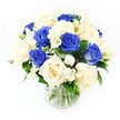 This photograph shows a serene sympathy bouquet designed in a classic glass vase, positioned against a pristine white background that lets its colours and shapes speak clearly. About half of the blooms are royal blue roses, their deep, saturated hue and tightly layered petals giving the arrangement a sense of steady strength. Interwoven with them are creamy ivory roses, just as full and velvety, but radiating a soft, nurturing light that gently balances the darker tones. Between these larger flowers, white freesias appear in small clusters, their trumpet-shaped blossoms and closed buds adding fine detail and suggesting the quiet unfolding of new days. Sprays of baby's breath, with countless tiny white flowers, create a gauzy, cloud-like texture that softens the spaces between roses and freesias, so there are no harsh lines-only gentle transitions. Rich green foliage circles the base and peeks out here and there, anchoring the overall design without disturbing its calm colour scheme. All of this is gathered into a clear cylindrical vase filled with fresh water, where the stems are neatly trimmed and slightly crossed, revealing the florist's practiced hand. The lighting is bright yet soft, giving each petal definition without casting strong shadows, and making the bouquet feel freshly made, as if it could have just left a studio in Queensbury for same-day delivery to a quiet side street off Kenton Road. The overall impression is one of composure, tenderness, and respect, ideal for conveying condolences or offering a gentle gesture of support.