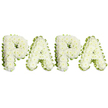 A tender, dignified funeral tribute spelling the name 'PAPA' in four large, uppercase letters, each letter entirely covered with dense clusters of pristine white chrysanthemums and gently creamy-white blooms. The texture reads soft and slightly domed, petal edges ruffled into a calming, tactile surface that invites touch; a faint, comforting scent of chrysanthemums seems to linger in the imagined air. Each character is crisply defined by a delicate band of pale, lime-green ribbon and whisper-thin foliage that traces the outer edge, adding a fresh, natural contrast and subtle shadow that makes the white blooms stand forward against the immaculate white backdrop. The letters sit in a calm, horizontal line as if laid with care on a chapel table or church lectern during a remembrance service; soft, even lighting reveals the bloom clusters' minute variation-some petals slightly curled, some tightly packed-evidence of careful hand-work by an experienced florist. This piece reads as a personal farewell for a father or grandfather, conveying respect, peace, and an intimate family bond through its classic white-and-green palette. As a Queensbury florist would prepare for a local wake or graveside service near Queensbury Station, Kingsbury Road, or the quieter lanes toward Wembley, the arrangement is sized to be prominent yet tender, created to sit comfortably among other sympathy pieces. The overall impression is one of purity and repose: an eloquent floral language of loss and devotion that holds memory gently, offering a simple, solemn beauty to families saying goodbye in the community.