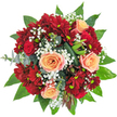 There's a movement and elegance to this bouquet, crafted in the heart of Queensbury, that invites both admiration and joy. The eye is drawn first to the softly glowing peach-apricot roses at the centre, their spiraled petals unfolding like delicate shells-each suffused with a gentle, rosy blush, creating an immediate sense of warmth. Deep red roses, with plush, tightly curled forms, are nestled within, their presence deepening the overall richness. Surrounding them, neat clusters of crimson spray chrysanthemums punctuate the bouquet, their dense, button-like blooms adding both structure and drama. Wisps of powdery white gypsophila meander between larger flowers, a cloud-soft counterpoint to the saturation of red and peach. Framing it all, a medley of lush, glossy greens-salal and camellia leaves, crisp eucalyptus sprigs, and precise, folded ti leaves-offers texture, shine, and cool contrast, reminiscent of the diverse greenery seen in Queensbury's tree-lined avenues. Subtle, textural elements-perhaps unique seed pods or protea buds-add intrigue and natural authenticity. Bathed in gentle daylight, the bouquet's colours glow, evoking feelings of celebration and affection. Whether sent to a home near Roe Green Park or to mark a special birthday, this creation from Flower Delivery Queensbury is both a visual and sensory delight, blending traditional floristry with a modern, local touch.