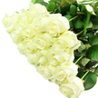 A sumptuous collection of white roses is pictured in close focus, forming a large, rounded bouquet that dominates the scene with its gentle brightness. The blossoms are numerous-easily two dozen or more-and arranged so closely that the petals seem to touch, creating a soft, cloud-like effect. Each bloom is uniquely detailed: some roses are tight, elegant buds with sharply defined tips, while others are beginning to unfurl, revealing concentric layers of petals that spiral inward like tiny works of art. The colour is a refined creamy white, subtly warmed by hints of ivory, so the arrangement feels soft and romantic rather than stark. Beneath and between the blossoms, you can glimpse resilient green leaves and strong stems, giving a sense of structure and vitality. The bouquet is set against a pure white background, similar in clarity to a freshly painted wall in a Queensbury flat, which heightens the purity of the roses and draws the eye to every delicate fold and curve. The even, bright lighting washes over the arrangement, throwing only the gentlest shadows, making the flowers appear freshly cut and cool to the touch, as if they've just arrived from a local Queensbury florist's workbench. While the fragrance cannot be seen, the visual impression suggests a soft, creamy scent-clean, comforting, and serene. This bouquet feels beautifully adaptable, appropriate for weddings, anniversaries, or sending condolences across Queensbury and the surrounding streets, quietly conveying messages of respect, new beginnings, and steadfast love with its understated, luxurious simplicity.